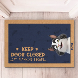 Please Close The Door, The Cat Has Plans - Cat Personalized Custom Home Decor Decorative Mat - House Warming Gift For Pet Owners, Pet Lovers