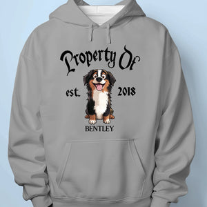 Property Of My Dog - Dog Personalized Custom Unisex T-shirt, Premium T-shirt, Hoodie - Gift For Pet Owners, Pet Lovers