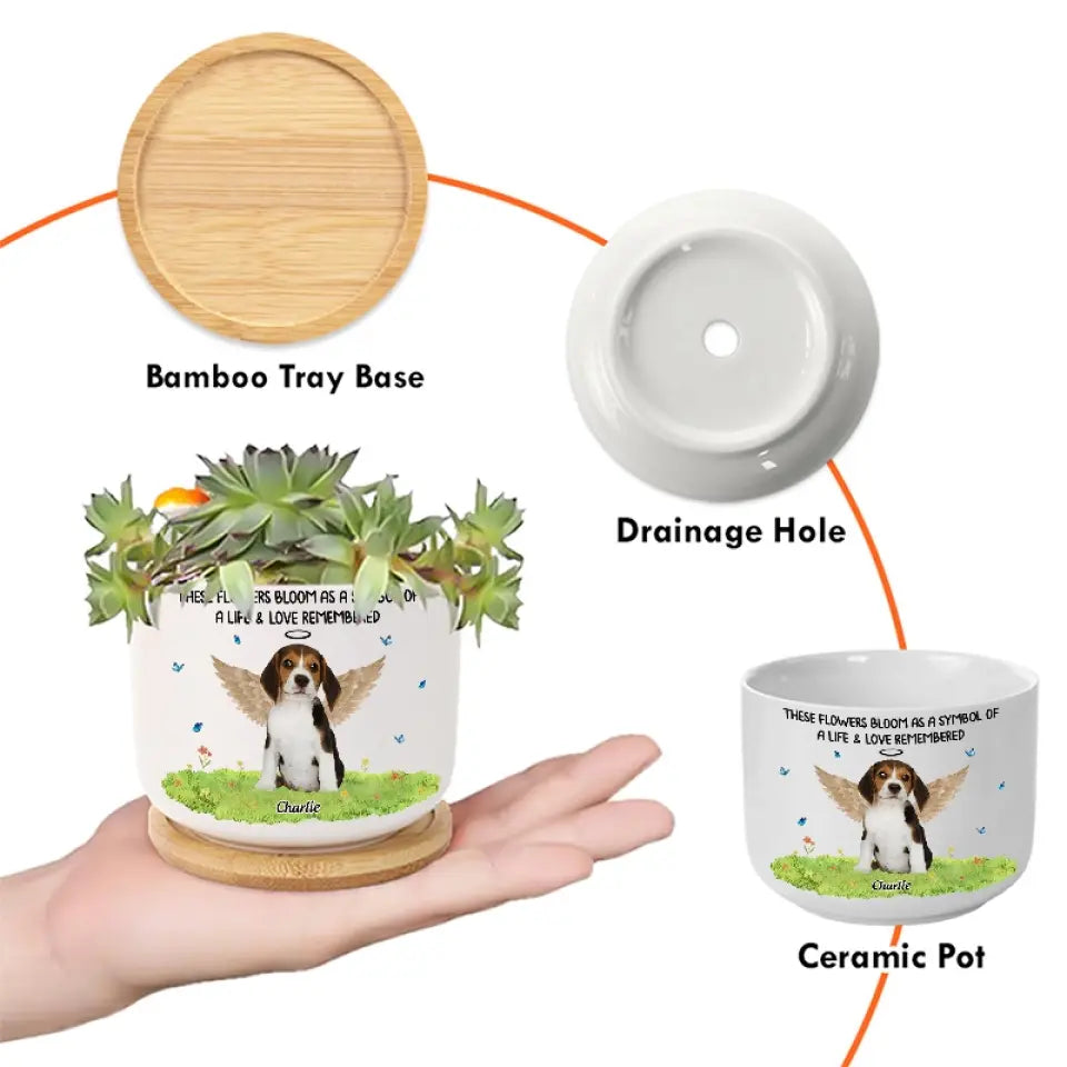 Custom Photo Don't Cry Because It's Over, Smile Because It Happened - Memorial Personalized Custom Home Decor Ceramic Plant Pot - Sympathy Gift For Pet Owners, Pet Lovers