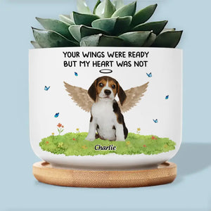 Custom Photo Don't Cry Because It's Over, Smile Because It Happened - Memorial Personalized Custom Home Decor Ceramic Plant Pot - Sympathy Gift For Pet Owners, Pet Lovers