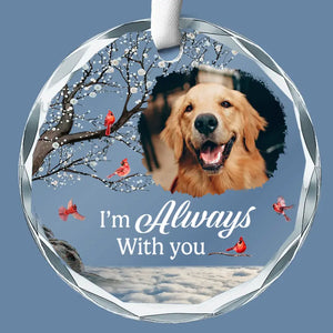 Custom Photo A Companion Is Gone, But The Memory Lives On - Memorial Personalized Custom Circle Glass Ornament - Sympathy Gift For Pet Owners, Pet Lovers