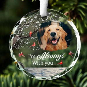 Custom Photo A Companion Is Gone, But The Memory Lives On - Memorial Personalized Custom Circle Glass Ornament - Sympathy Gift For Pet Owners, Pet Lovers