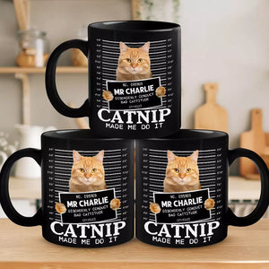 Custom Photo Furry Roommate, Furever Friend - Cat Personalized Custom Black Mug - Gift For Pet Owners, Pet Lovers