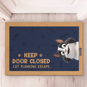 Please Close The Door, The Cat Has Plans - Cat Personalized Custom Home Decor Decorative Mat - House Warming Gift For Pet Owners, Pet Lovers