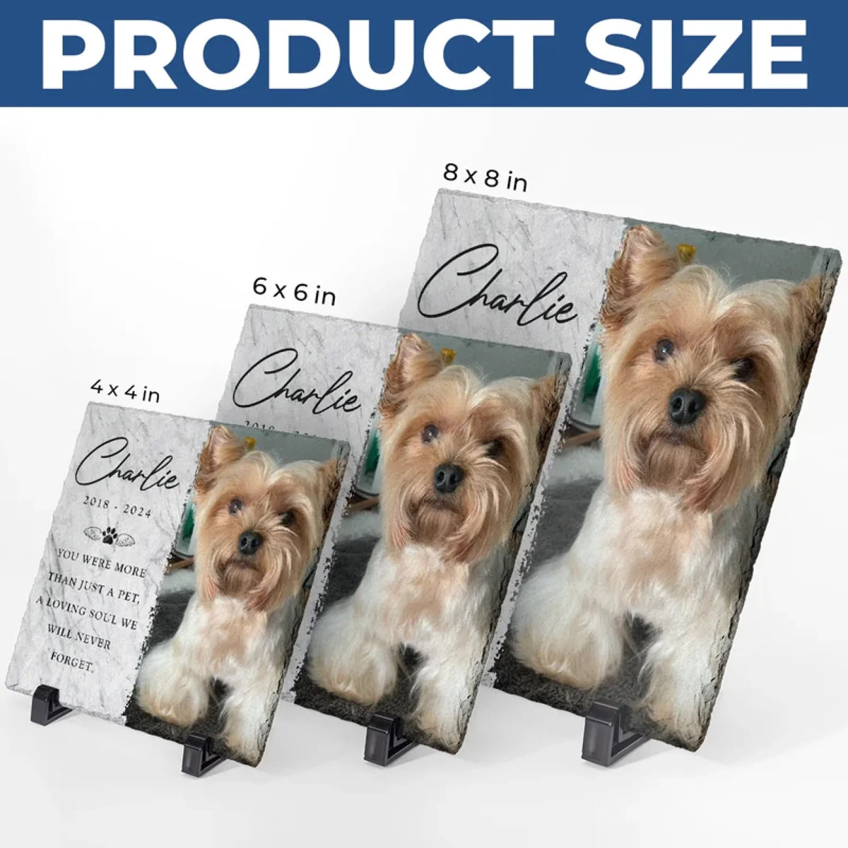 MEP-FT-007-thumb-ss-3size