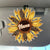 CVC-TT0524_Thumb1